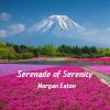 Download track Serenade Of Serenity