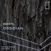 Download track Obsidian (Enlusion Remix)