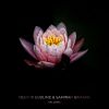 Download track Nelumbo