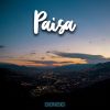 Download track Paisa