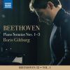 Download track 07. Piano Sonata No. 21 In C Major, Op. 53 Waldstein III. Rondo. Allegretto Moderato - Prestissimo