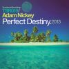 Download track Perfect Destiny (Winkee Remix)