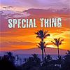 Download track Special Thing