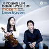 Download track 09. Violin Sonata No. 1 In D Major, Op. 12 II. Tema Con Variazioni. Andante Con Moto