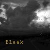 Download track Bleak