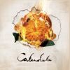 Download track Calendula