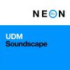 Download track Soundscape (Extended Mix)