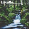 Download track Relaxing Music For Stress Relief