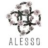 Download track I Wanna Know (Alesso And Deniz Koyu Remix)