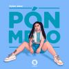 Download track Pónmelo