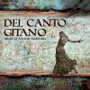 Download track Del Canto Gitano