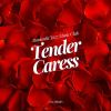 Download track Tender Moment Waltz