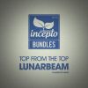 Download track Top From The Top Lunarbeam (Continuous DJ Mix)