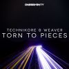 Download track Torn'to Pieces (Original Mix)