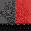 Download track Belki Hayatta Bizimdir Yanlızlık