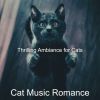 Download track Beautiful Ambiance For Resting Cats