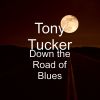 Download track Down The Road Of Blues