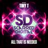 Download track All That Is Needed