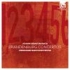 Download track 05 - Concerto No. 6 In B Flat Major, BWV 1051-I. [Ohne Satzbezeichnung]