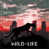 Download track Wild-Life