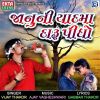 Download track Janu Ni Yaadma Daru Pidho