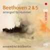 Download track Symphony No. 2 In D Major, Op. 36 II. Larghetto (Arr. By Hummel)