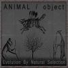 Download track Evolution By Natural Selection