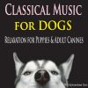 Download track Classical Moods For Pugs