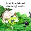 Download track Irish Traditional Calming Music