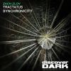 Download track Synchronicity