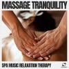 Download track Soothing Spa Music