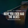Download track Have You Ever Had The Blues