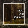 Download track Polka (Schubert: Galopp D. 735) (Live)