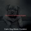 Download track Simple Music For Calming Pups