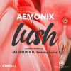 Download track Lush (MR EFFLIX Remix)