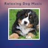 Download track Relaxing Music For Your Dog, Series 1