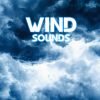 Download track Sleep Wind & Rain (Rain Unlimited Remix)