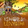 Download track Umenziwokuhle