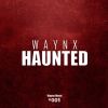 Download track Haunted