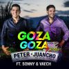 Download track Goza Goza (Juancho De La Espriella, Sonny & Vaech) [Remix]