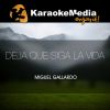 Download track Deja Que Siga La Vida (Karaoke Version) [In The Style Of Miguel Gallardo]