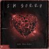 Download track I'm Sorry (Radio Edit)