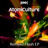 Download track Remote Flash (Remix)