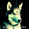 Download track Calm Reducing Dog Stress