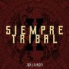 Download track Cumbia Tribal