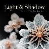 Download track Light & Shadow Pt. 1