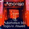 Download track Automotivo Bibi Fogosa Slowed (Speed-Up Tik-Tok Remix)