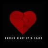 Download track Broken Heart & Open Scars