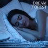 Download track Soothing Nighttime Melodies