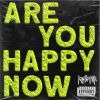 Download track ARE YOU HAPPY NOW